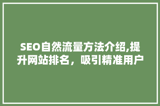 SEO自然流量方法介绍,提升网站排名，吸引精准用户