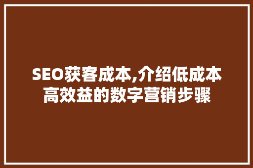 SEO获客成本,介绍低成本高效益的数字营销步骤
