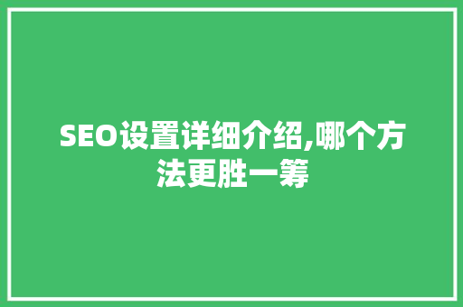SEO设置详细介绍,哪个方法更胜一筹