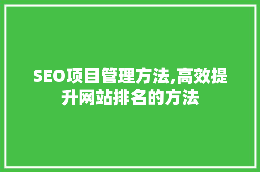 SEO项目管理方法,高效提升网站排名的方法