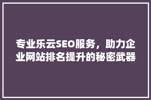 专业乐云SEO服务，助力企业网站排名提升的秘密武器_介绍SEO公司收费及价值