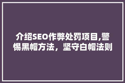 介绍SEO作弊处罚项目,警惕黑帽方法，坚守白帽法则