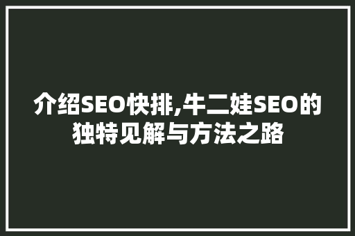 介绍SEO快排,牛二娃SEO的独特见解与方法之路