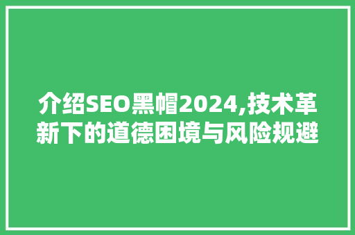 介绍SEO黑帽2024,技术革新下的道德困境与风险规避