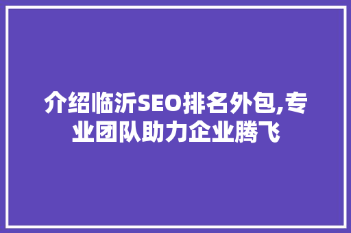 介绍临沂SEO排名外包,专业团队助力企业腾飞