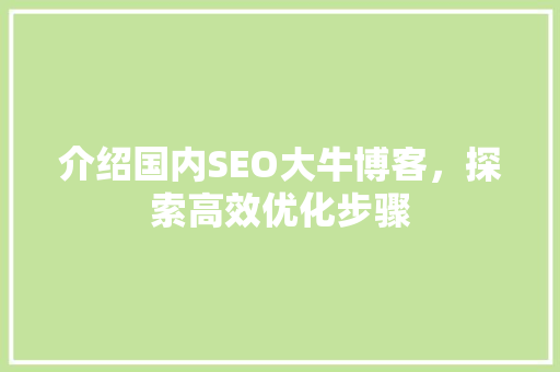 介绍国内SEO大牛博客，探索高效优化步骤