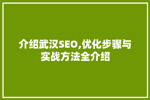 介绍武汉SEO,优化步骤与实战方法全介绍