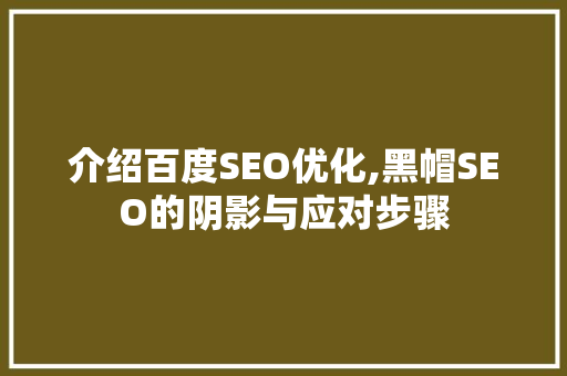 介绍百度SEO优化,黑帽SEO的阴影与应对步骤
