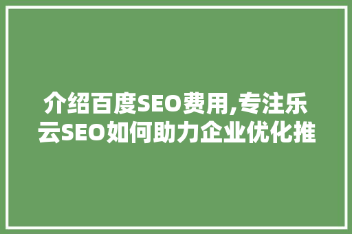 介绍百度SEO费用,专注乐云SEO如何助力企业优化推广