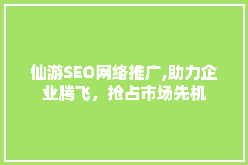 仙游SEO网络推广,助力企业腾飞，抢占市场先机