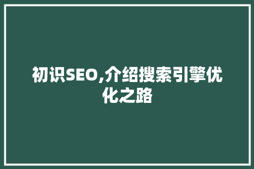 初识SEO,介绍搜索引擎优化之路