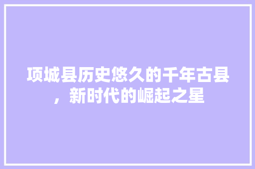 项城县历史悠久的千年古县，新时代的崛起之星
