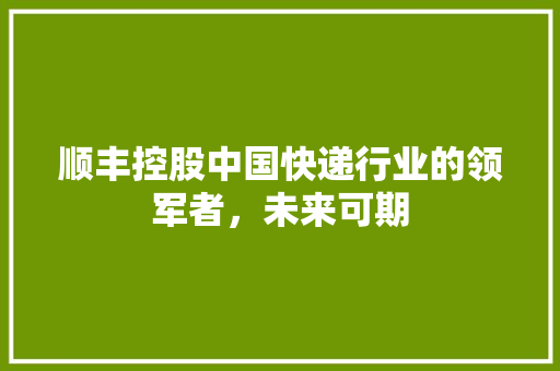 顺丰控股中国快递行业的领军者，未来可期