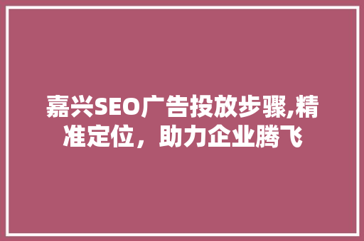 嘉兴SEO广告投放步骤,精准定位，助力企业腾飞
