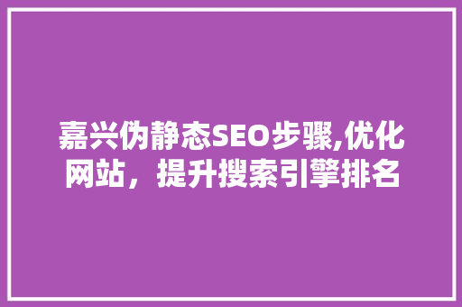 嘉兴伪静态SEO步骤,优化网站，提升搜索引擎排名