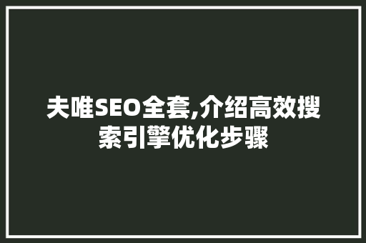 夫唯SEO全套,介绍高效搜索引擎优化步骤