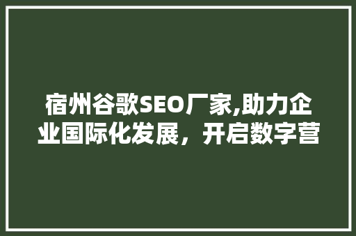 宿州谷歌SEO厂家,助力企业国际化发展，开启数字营销新篇章