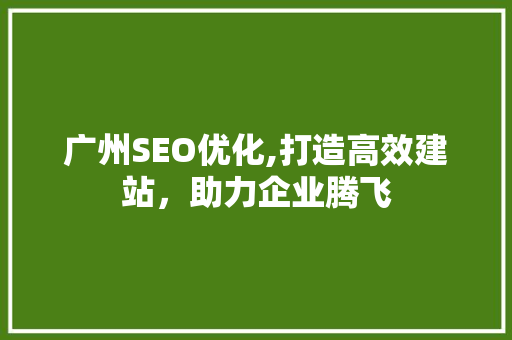 广州SEO优化,打造高效建站，助力企业腾飞