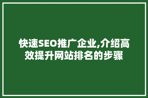 快速SEO推广企业,介绍高效提升网站排名的步骤