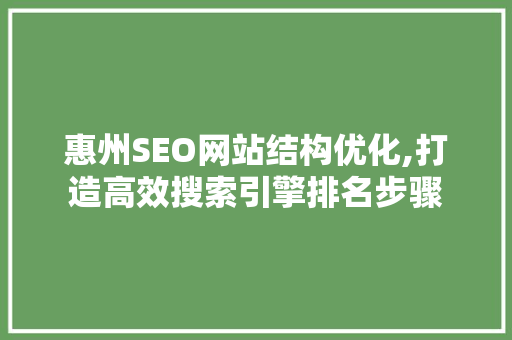 惠州SEO网站结构优化,打造高效搜索引擎排名步骤