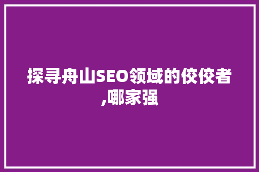 探寻舟山SEO领域的佼佼者,哪家强