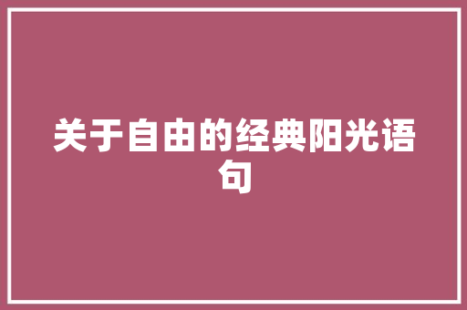 新乡SEO设计托管,助力企业网络营销，提升品牌影响力