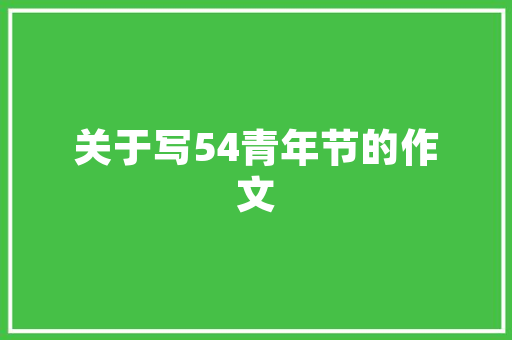 新疆SEO优化投放,助力企业精准触达目标用户，提升品牌影响力