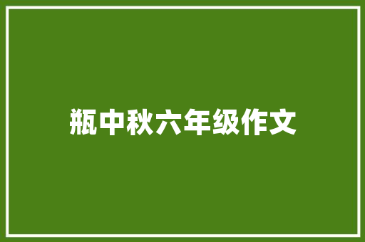 新网站SEO基础,从零开始打造搜索引擎优化之路