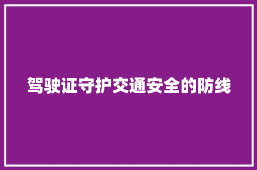 驾驶证守护交通安全的防线