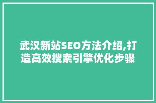 武汉新站SEO方法介绍,打造高效搜索引擎优化步骤