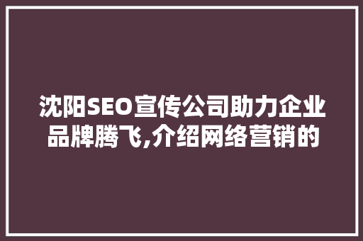 沈阳SEO宣传公司助力企业品牌腾飞,介绍网络营销的秘密武器