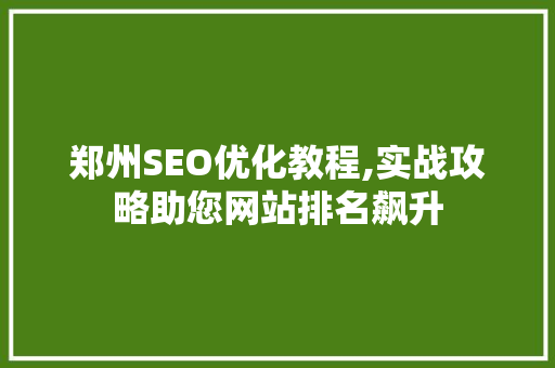 郑州SEO优化教程,实战攻略助您网站排名飙升