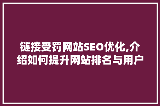 链接受罚网站SEO优化,介绍如何提升网站排名与用户体验