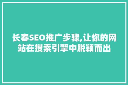长春SEO推广步骤,让你的网站在搜索引擎中脱颖而出  第1张