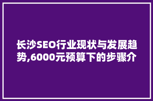 长沙SEO行业现状与发展趋势,6000元预算下的步骤介绍