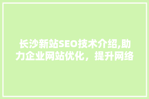 长沙新站SEO技术介绍,助力企业网站优化，提升网络竞争力
