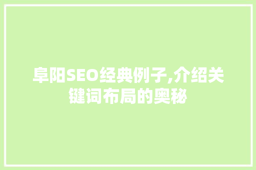 阜阳SEO经典例子,介绍关键词布局的奥秘