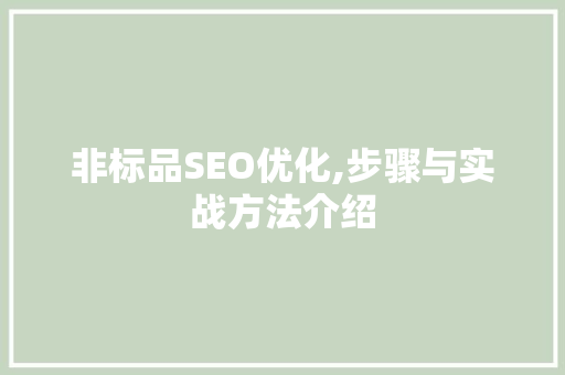 非标品SEO优化,步骤与实战方法介绍
