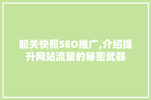 韶关快照SEO推广,介绍提升网站流量的秘密武器