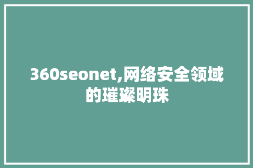 360seonet,网络安全领域的璀璨明珠