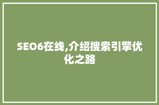 SEO6在线,介绍搜索引擎优化之路