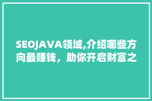 SEOJAVA领域,介绍哪些方向最赚钱，助你开启财富之门