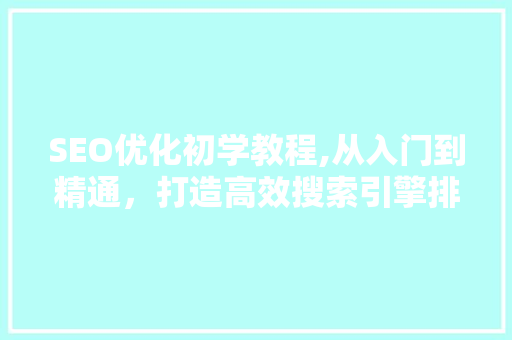 SEO优化初学教程,从入门到精通，打造高效搜索引擎排名步骤