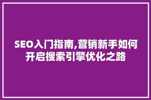SEO入门指南,营销新手如何开启搜索引擎优化之路