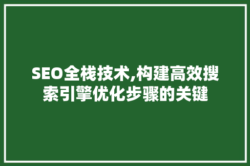 SEO全栈技术,构建高效搜索引擎优化步骤的关键