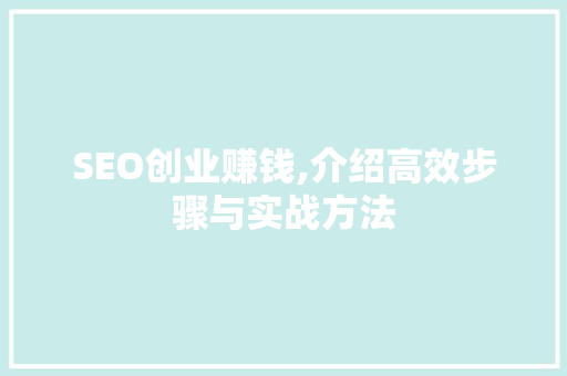 SEO创业赚钱,介绍高效步骤与实战方法
