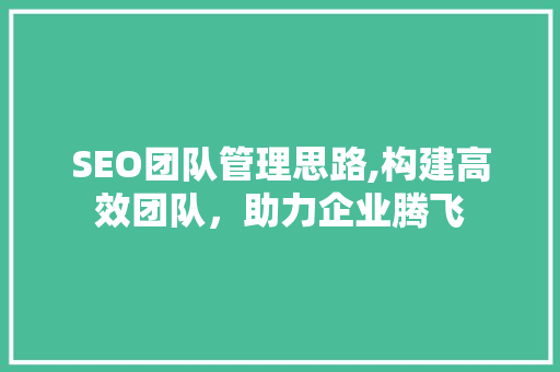 SEO团队管理思路,构建高效团队，助力企业腾飞