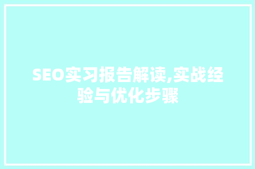 SEO实习报告解读,实战经验与优化步骤