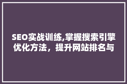 SEO实战训练,掌握搜索引擎优化方法，提升网站排名与流量