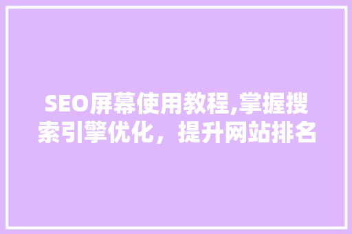 SEO屏幕使用教程,掌握搜索引擎优化，提升网站排名